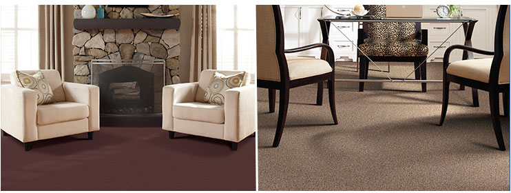 tigressa cherish carpet rooms